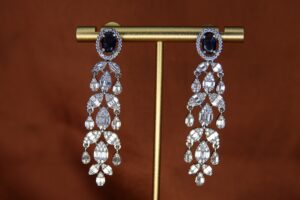 Chaitra Drops